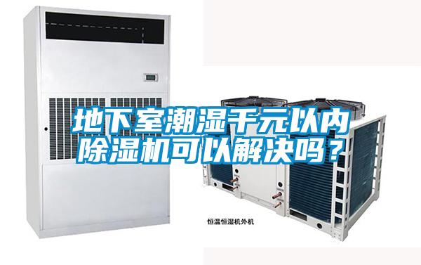 地下室潮湿千元以内除湿机可以解决吗？
