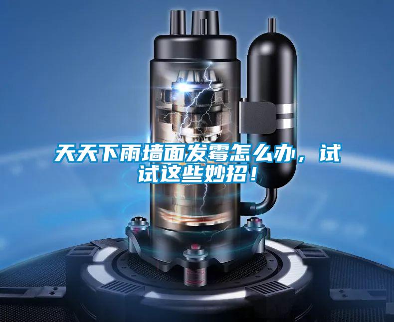 天天下雨墙面发霉怎么办，试试这些妙招！