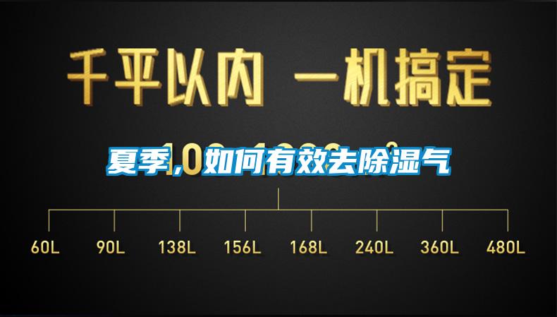 夏季，如何有效去除湿气