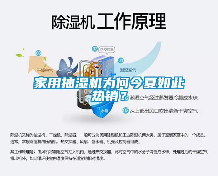 家用抽湿机为何今夏如此热销？