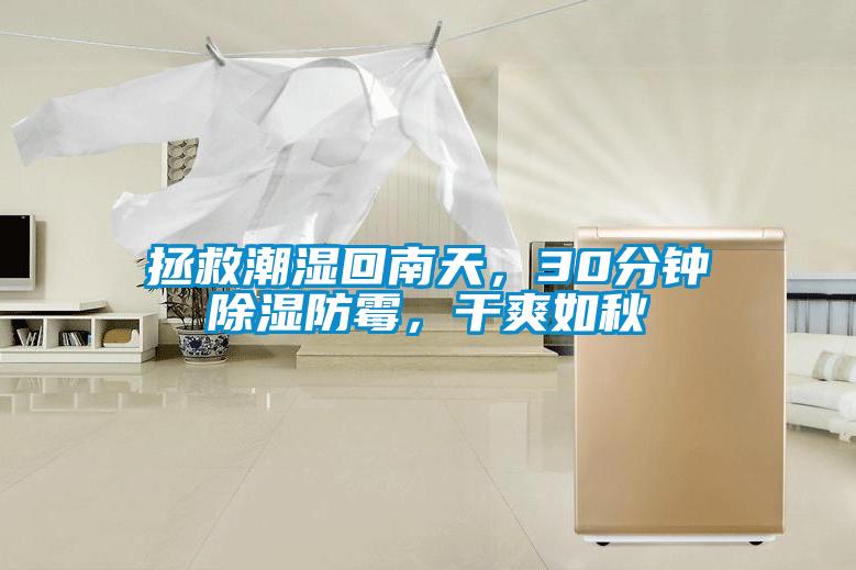 拯救潮濕回南天，30分鐘除濕防霉，干爽如秋