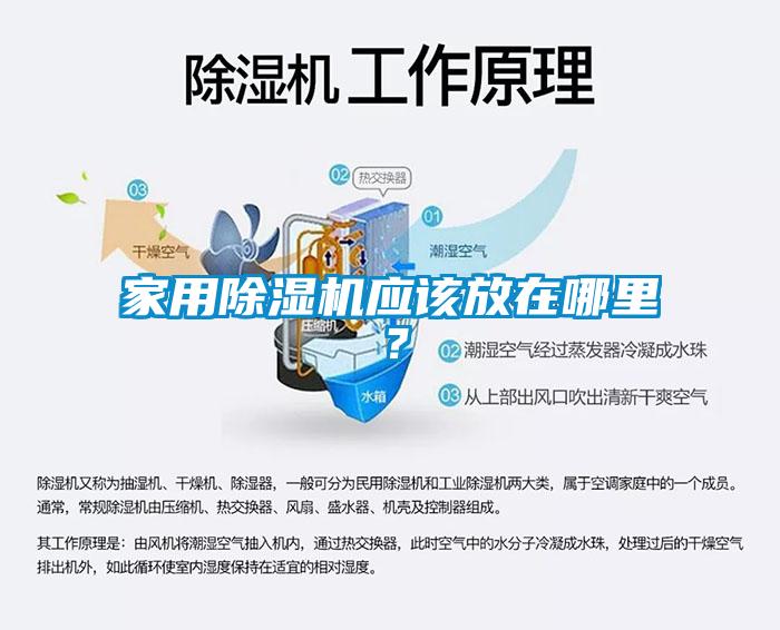 家用除湿机应该放在哪里？