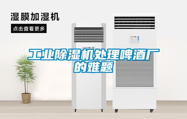 工业除湿机处理啤酒厂的难题