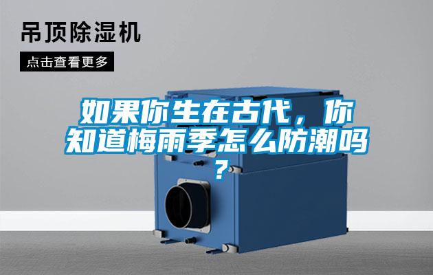 如果你生在古代，你知道梅雨季怎么防潮吗？