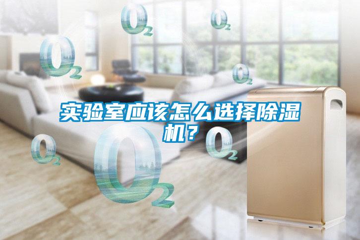 實驗室應該怎么選擇除濕機？
