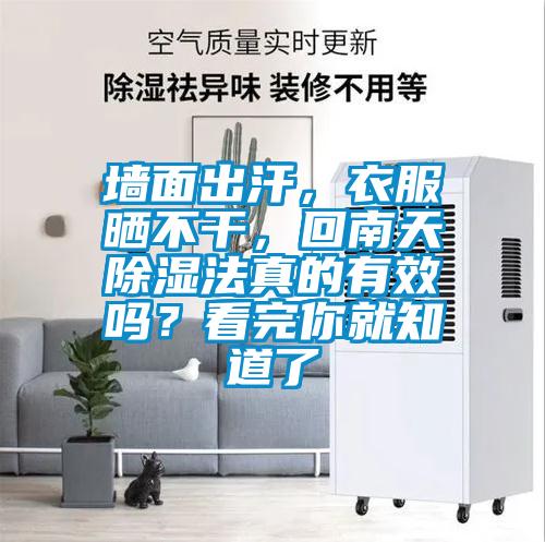 墙面出汗，衣服晒不干，回南天除湿法真的有效吗？看完你就知道了