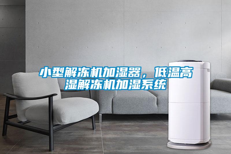 小型解冻机加湿器，低温高湿解冻机加湿系统