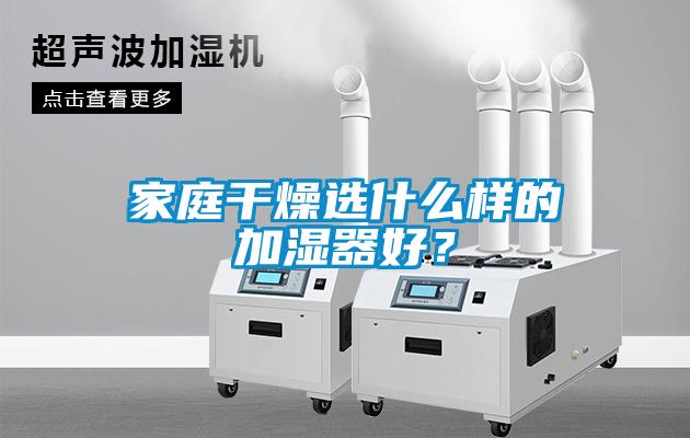 家庭干燥选什么样的加湿器好？
