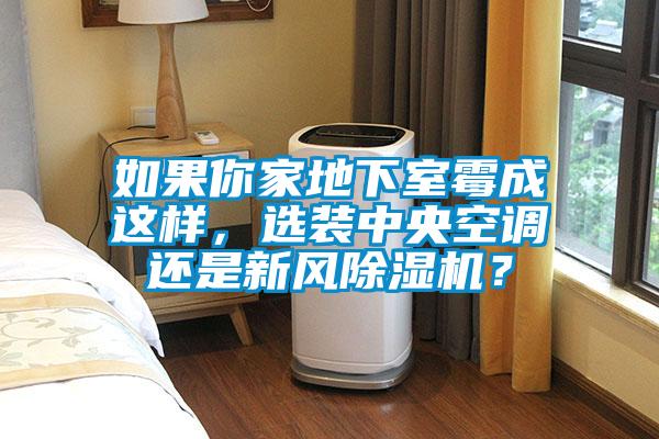 如果你家地下室霉成这样，选装中央空调还是新风除湿机？