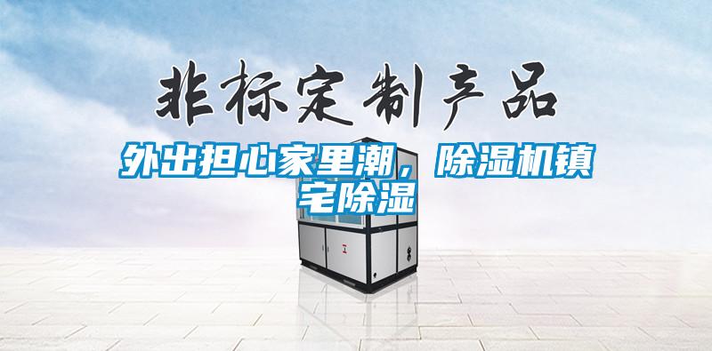 外出担心家里潮，除湿机镇宅除湿