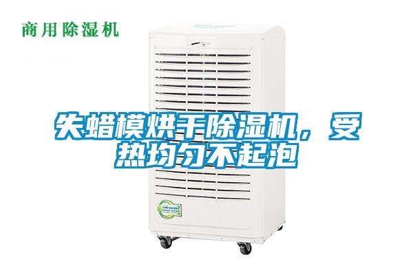 失蜡模烘干除湿机，受热均匀不起泡