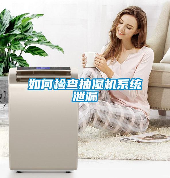 如何检查抽湿机系统泄漏