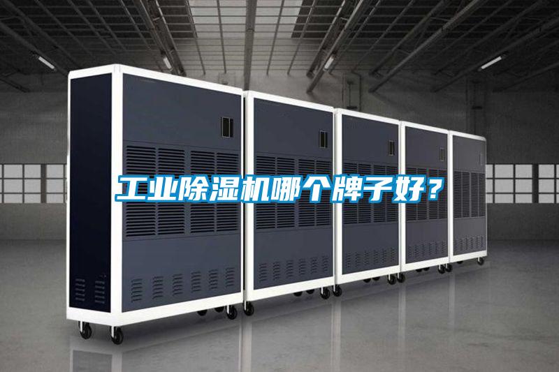 工业除湿机哪个牌子好？