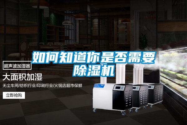 如何知道你是否需要除湿机