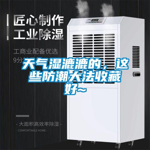 天气湿漉漉的，这些防潮大法收藏好~
