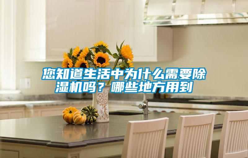 您知道生活中为什么需要除湿机吗？哪些地方用到