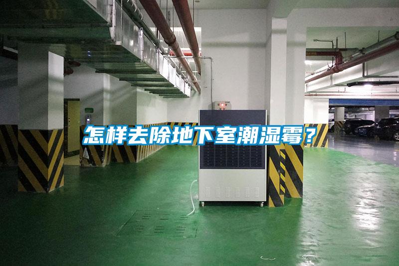 怎样去除地下室潮湿霉？