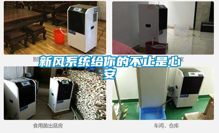 新风系统给你的不止是心安