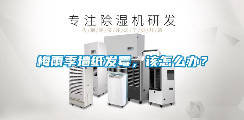 梅雨季墙纸发霉，该怎么办？
