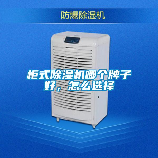 柜式除湿机哪个牌子好，怎么选择