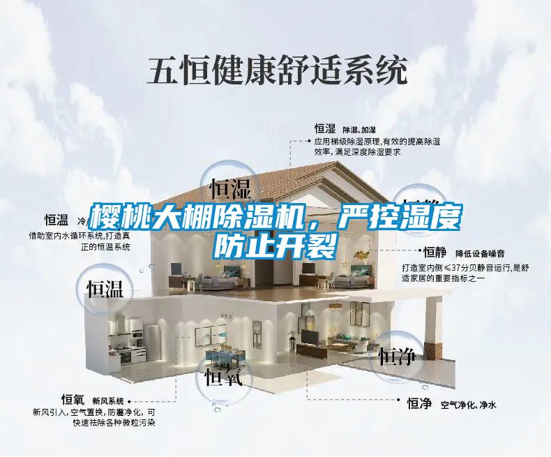 櫻桃大棚除濕機(jī)，嚴(yán)控濕度防止開裂