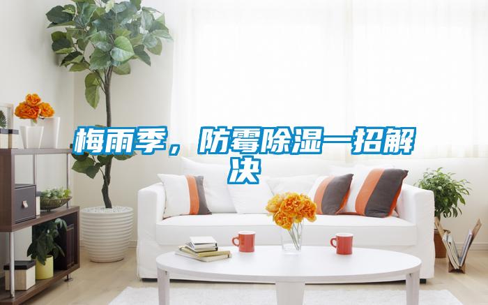 梅雨季，防霉除湿一招解决