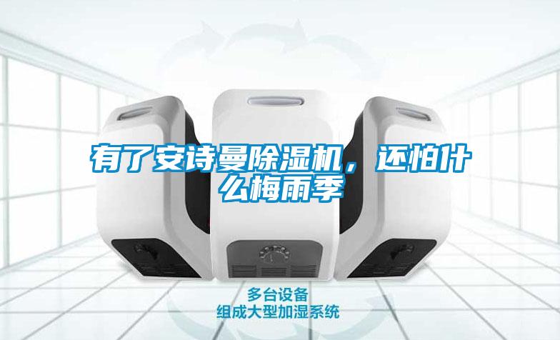 有了安诗曼除湿机，还怕什么梅雨季