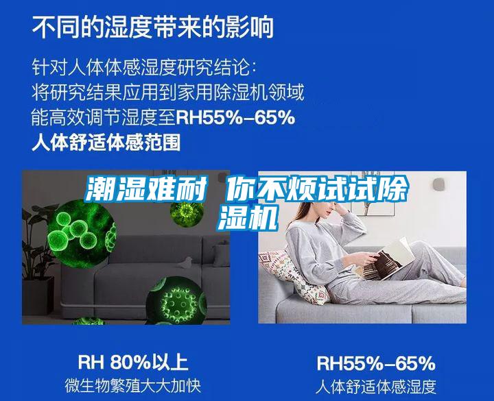 潮湿难耐 你不烦试试除湿机