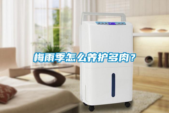 梅雨季怎么养护多肉？