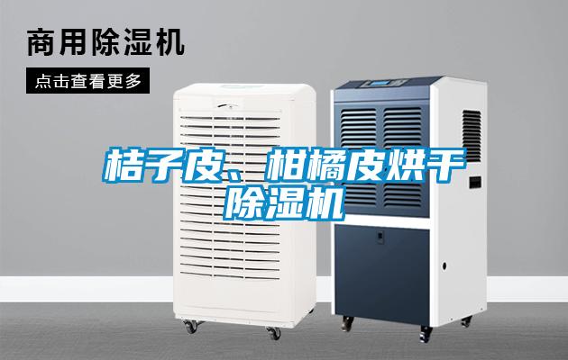 桔子皮、柑橘皮烘干除湿机
