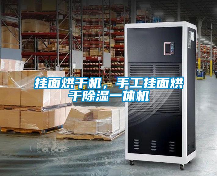 挂面烘干机，手工挂面烘干除湿一体机