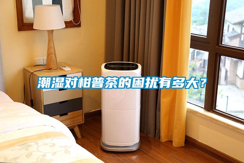 潮湿对柑普茶的困扰有多大？