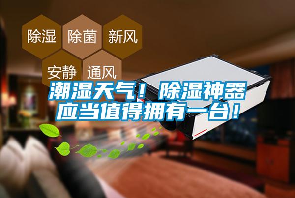 潮湿天气！除湿神器应当值得拥有一台！