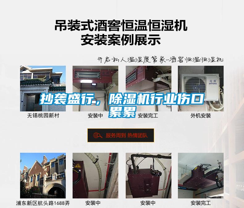 抄袭盛行，除湿机行业伤口累累