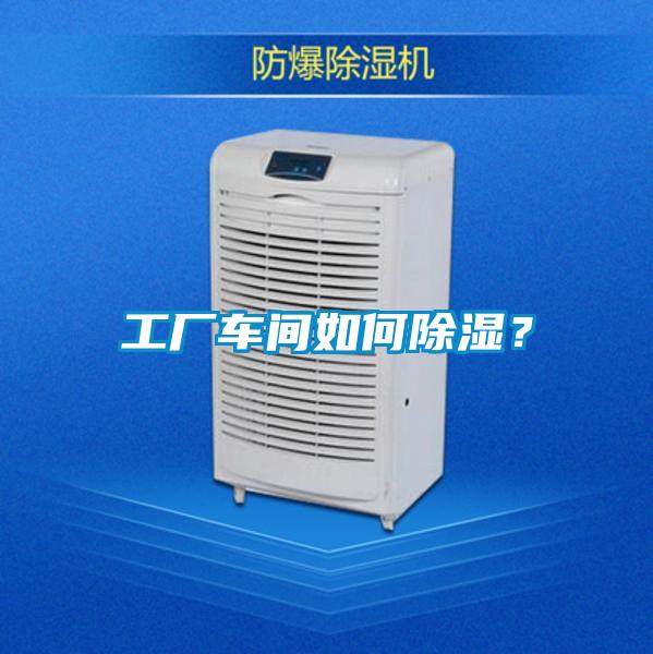 工厂车间如何除湿？