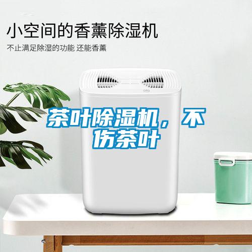 茶叶除湿机，不伤茶叶