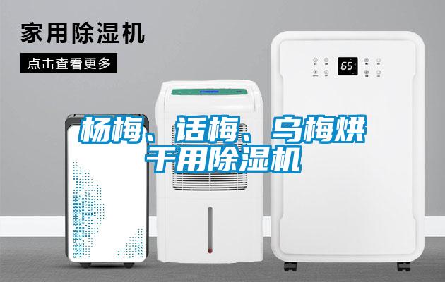 杨梅、话梅、乌梅烘干用除湿机