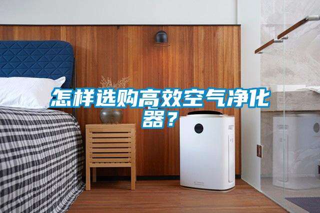 怎样选购高效空气净化器？