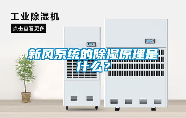 新风系统的除湿原理是什么？