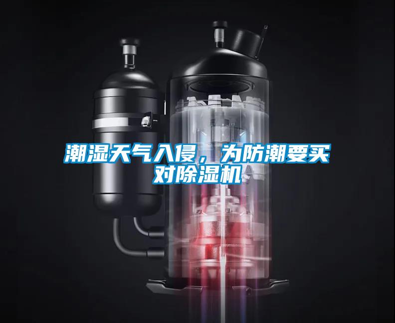潮湿天气入侵，为防潮要买对除湿机