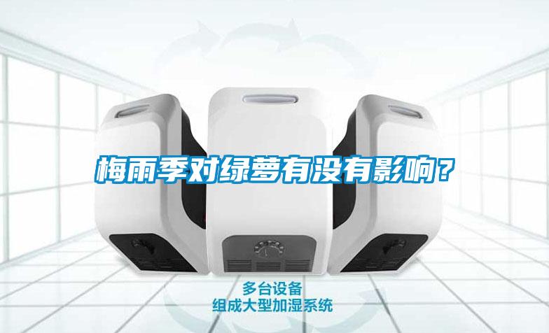 梅雨季对绿萝有没有影响？