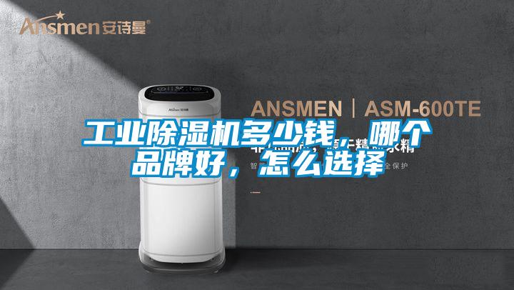 工业除湿机多少钱，哪个品牌好，怎么选择