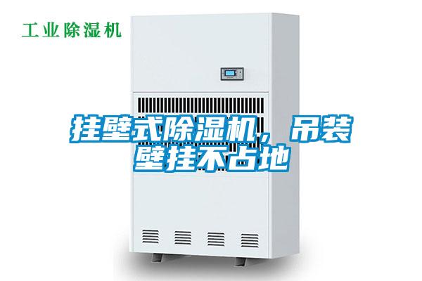 挂壁式除湿机，吊装壁挂不占地