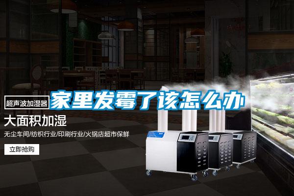家里发霉了该怎么办