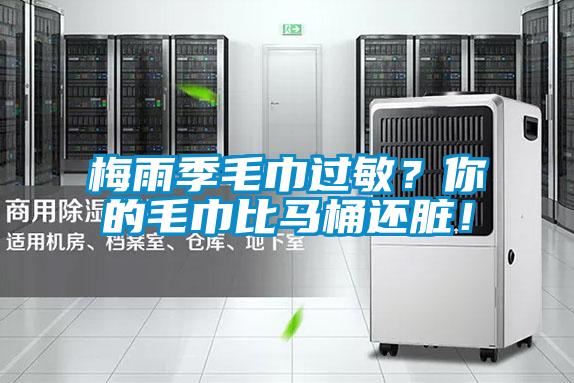 梅雨季毛巾过敏？你的毛巾比马桶还脏！