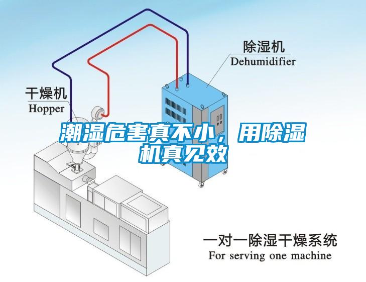 潮湿危害真不小，用除湿机真见效