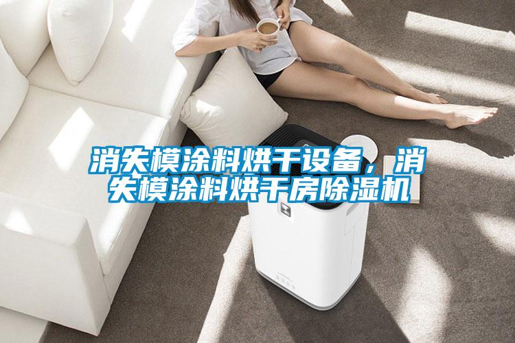 消失模涂料烘干设备，消失模涂料烘干房除湿机