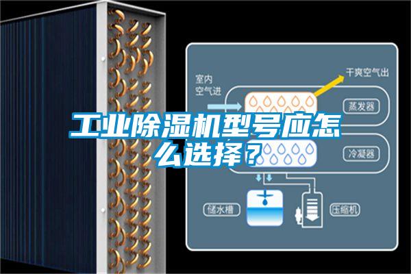 工业除湿机型号应怎么选择？