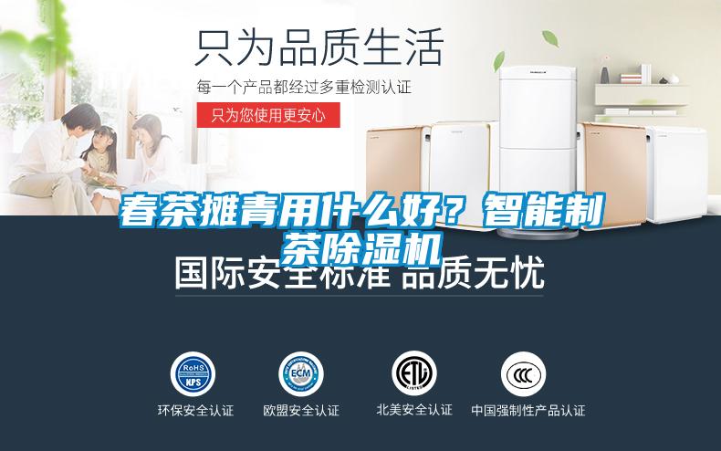 春茶攤青用什么好？智能制茶除濕機(jī)