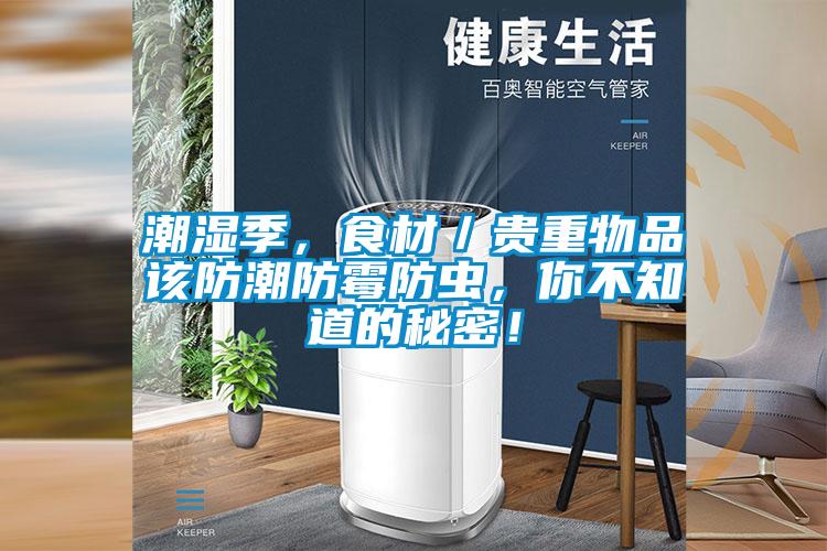 潮湿季，食材／贵重物品该防潮防霉防虫，你不知道的秘密！